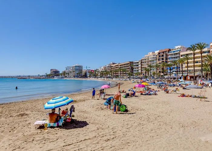 Harmony Del Cura トレビエハ