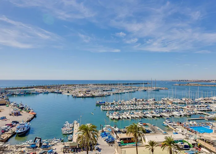 Harmony Del Cura トレビエハ