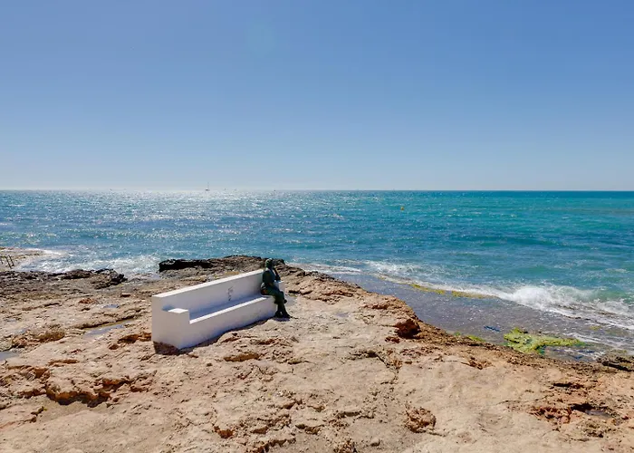 Harmony Del Cura トレビエハ